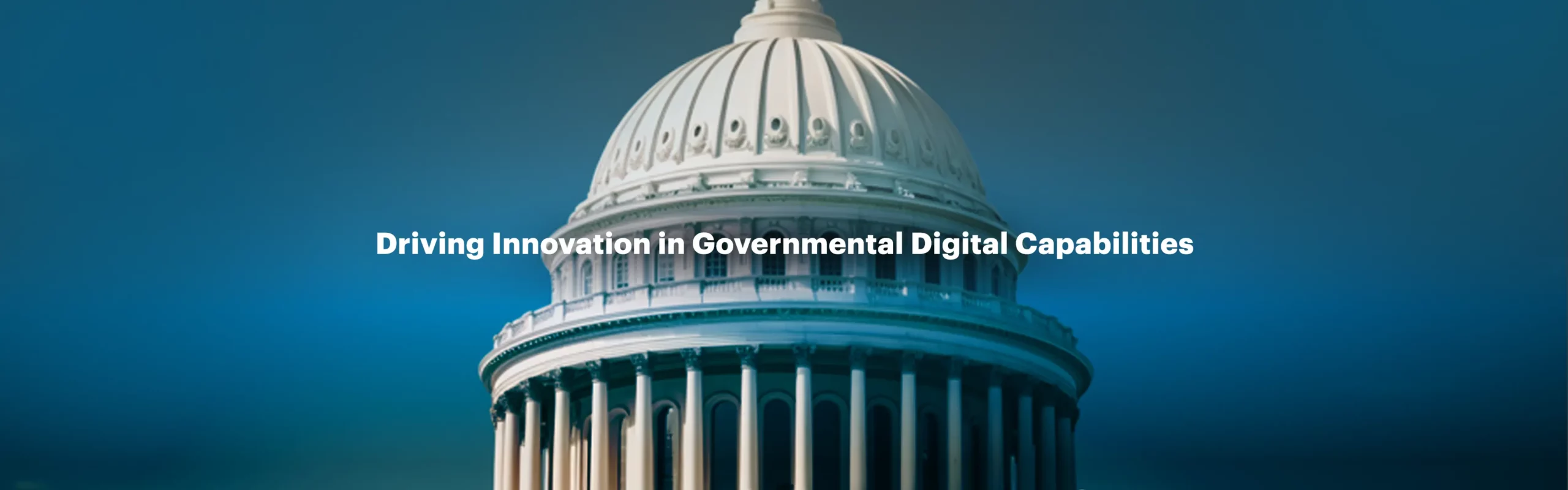 Government Sector