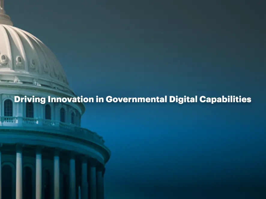 Government Sector